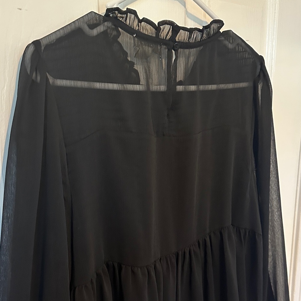 Griege Sheer Ruffle Blouse - Picture 8 of 8